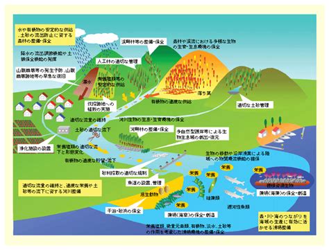 海景台風水|河川から海への水の動き、台風時のモデルを精緻化 －台風がも。